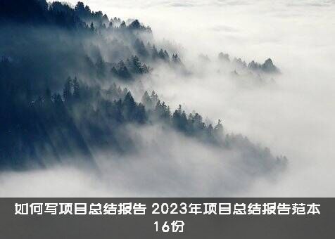 如何写项目总结报告（2023年项目总结报告范本16份）