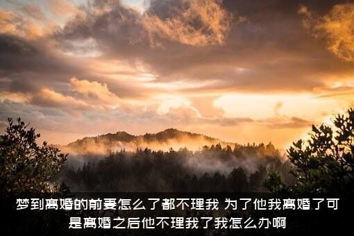 梦到离婚的前妻怎么了都不理我？为了他我离婚了可是离婚之后他不理我了我怎么办啊？