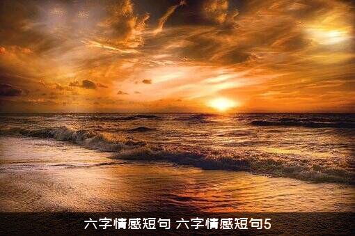 六字情感短句（六字情感短句5）