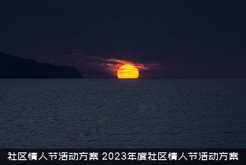 社区情人节活动方案（2023年度社区情人节活动方案）