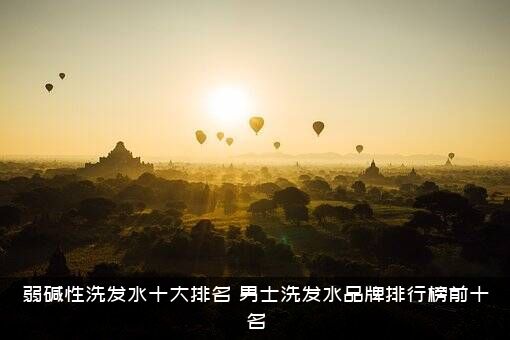 弱碱性洗发水十大排名（男士洗发水品牌排行榜前十名）