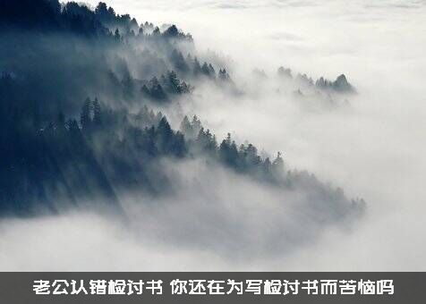 老公认错检讨书（你还在为写检讨书而苦恼吗）