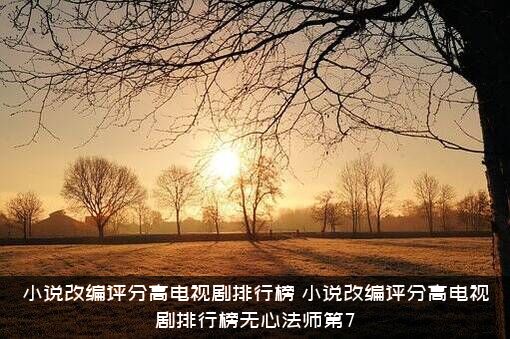小说改编评分高电视剧排行榜（小说改编评分高电视剧排行榜无心法师第7）