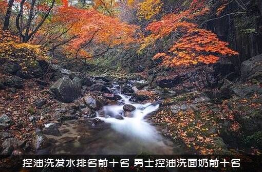 控油洗发水排名前十名（男士控油洗面奶前十名）