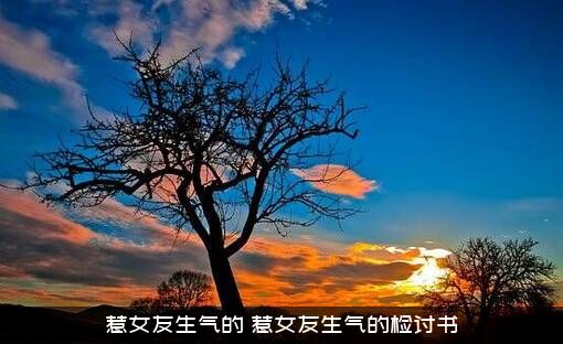 惹女友生气的（惹女友生气的检讨书）