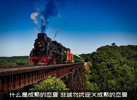 什么是成熟的恋爱（非诚勿扰定义成熟的恋爱）