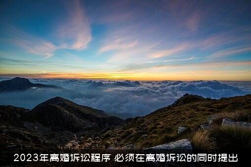 2023年离婚诉讼程序（必须在离婚诉讼的同时提出）