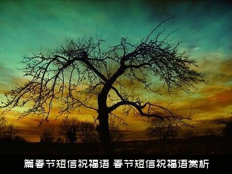 篇春节短信祝福语（春节短信祝福语赏析）