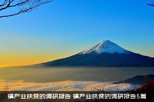 镇产业扶贫的调研报告（镇产业扶贫的调研报告5篇）