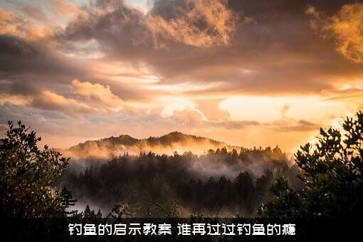 钓鱼的启示教案（谁再过过钓鱼的瘾）