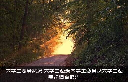大学生恋爱状况（大学生恋爱大学生恋爱及大学生恋爱观调查报告）