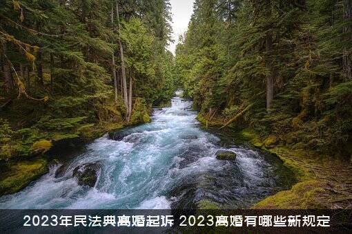 2023年民法典离婚起诉，2023离婚有哪些新规定？