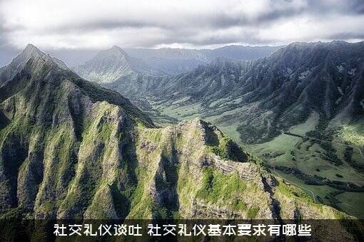 社交礼仪谈吐（社交礼仪基本要求有哪些）