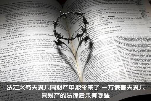 法定义务夫妻共同财产申报令来了，一方侵害夫妻共同财产的法律后果有哪些？