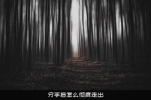 分手后怎么彻底走出