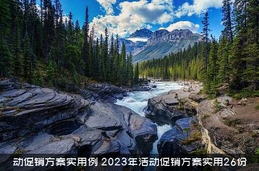 动促销方案实用例（2023年活动促销方案实用26份）