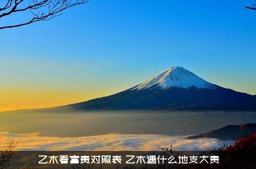 乙木看富贵对照表（乙木遇什么地支大贵）