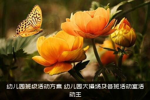 幼儿园班级活动方案（幼儿园大操场及各班活动室活动主）