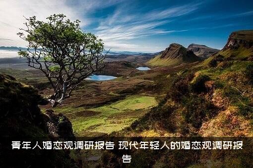 青年人婚恋观调研报告（现代年轻人的婚恋观调研报告）