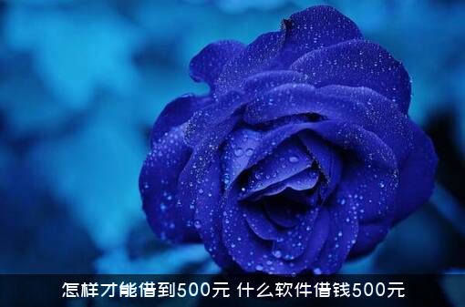 怎样才能借到500元？什么软件借钱500元？