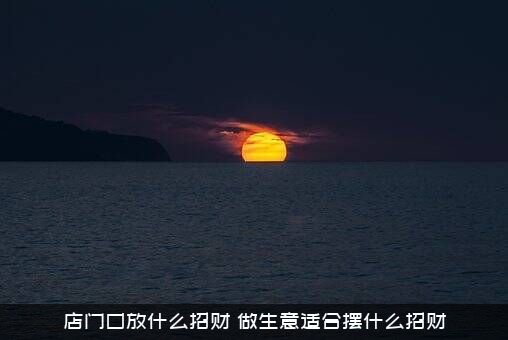 店门口放什么招财（做生意适合摆什么招财）