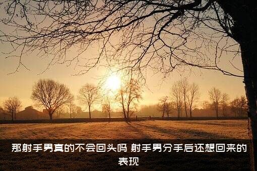 那射手男真的不会回头吗（射手男分手后还想回来的表现）