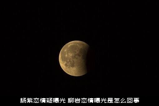 杨紫恋情疑曝光（柳岩恋情曝光是怎么回事）