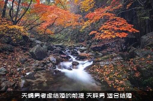天蝎男考虑结婚的前提，天秤男，适合结婚