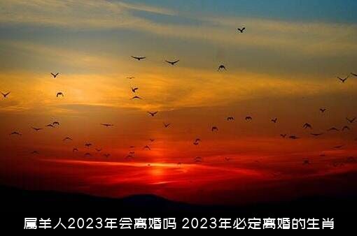属羊人2023年会离婚吗？2023年必定离婚的生肖