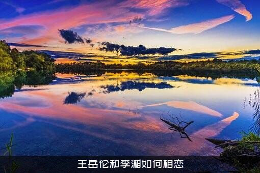 王岳伦和李湘如何相恋