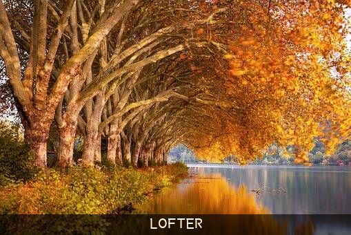 LOFTER