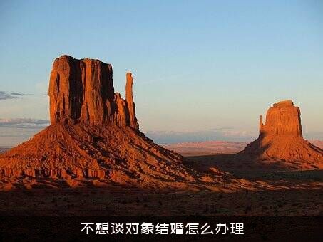 不想谈对象结婚怎么办理