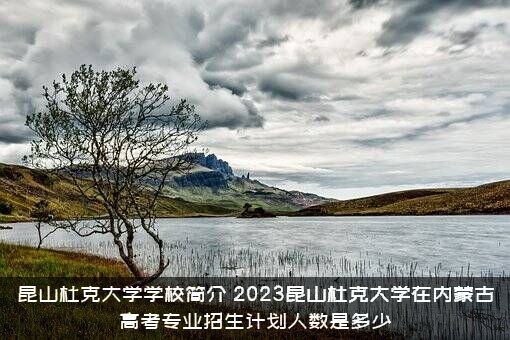 昆山杜克大学学校简介（2023昆山杜克大学在内蒙古高考专业招生计划人数是多少）