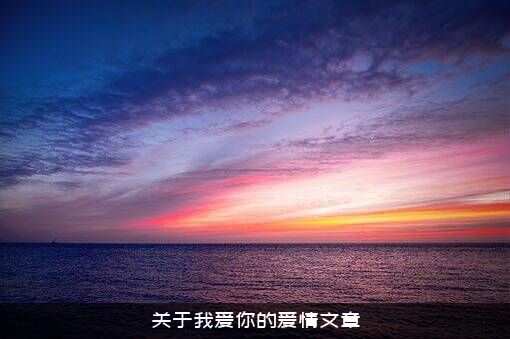 关于我爱你的爱情文章
