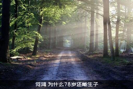 何鸿燊为什么78岁还能生子