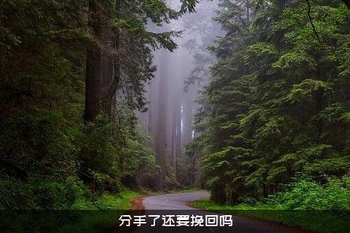 分手了还要挽回吗