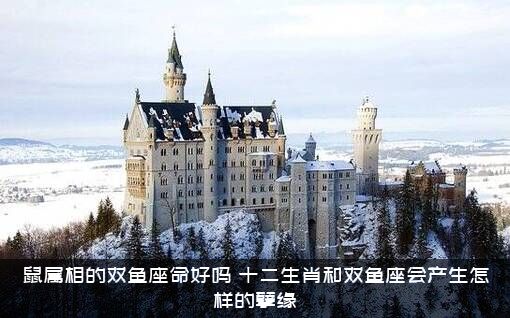 鼠属相的双鱼座命好吗？十二生肖和双鱼座会产生怎样的孽缘？
