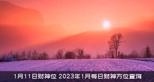 1月11日财神位（2023年1月每日财神方位查询）