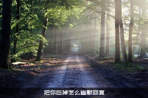 把你吃掉怎么幽默回复
