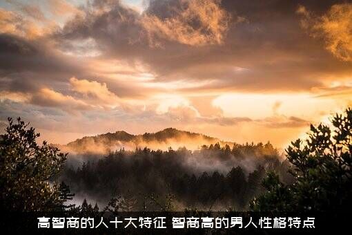 高智商的人十大特征（智商高的男人性格特点）