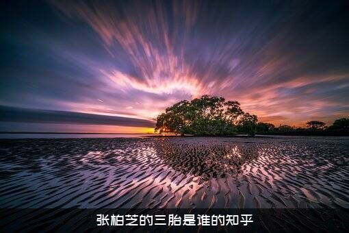 张柏芝的三胎是谁的知乎