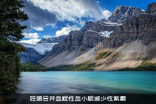 妊娠合并血栓性血小板减少性紫癜