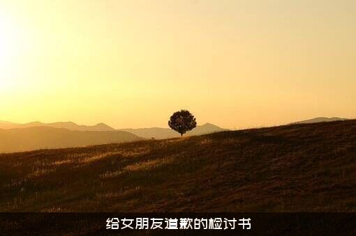 给女朋友道歉的检讨书