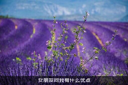 女朋友问我有什么优点