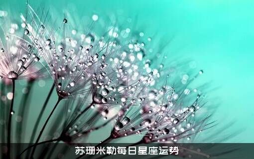 苏珊米勒每日星座运势