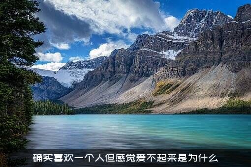 确实喜欢一个人但感觉爱不起来是为什么