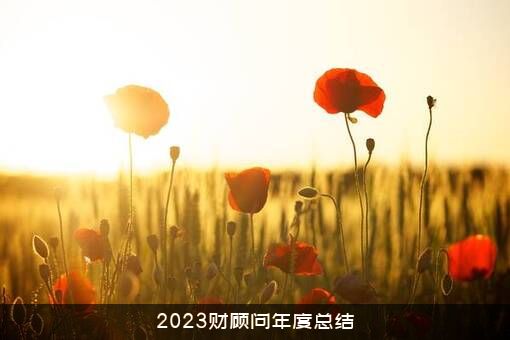 2023财顾问年度总结