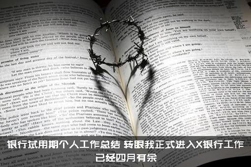 银行试用期个人工作总结（转眼我正式进入X银行工作已经四月有余）