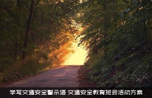 学写交通安全警示语（交通安全教育班会活动方案）