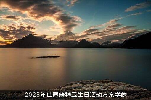 2023年世界精神卫生日活动方案学校